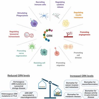 Tweaking Progranulin Expression: Therapeutic Avenues and Opportunities